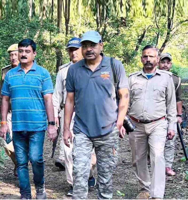 Illegal mining TW Forest Division earns Rs 9.79 Cr revenue