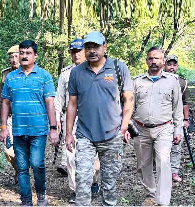 Illegal mining TW Forest Division earns Rs 9.79 Cr revenue